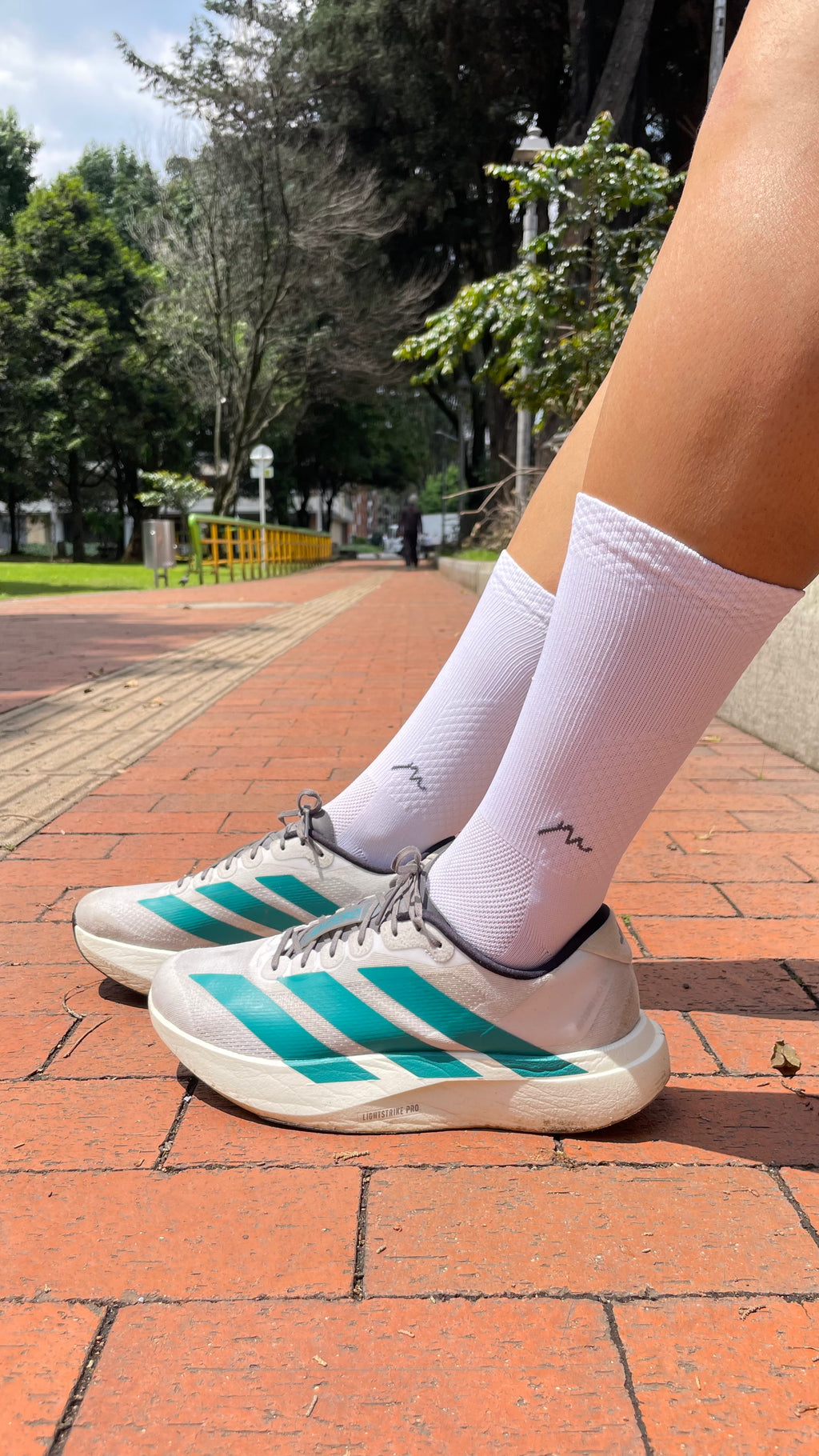 Medias Deportivas - Evoluzione 2- Ciclismo | Running